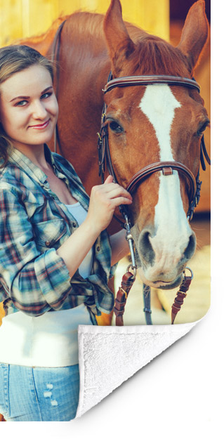 Voorbeeld fotohanddoek paard1